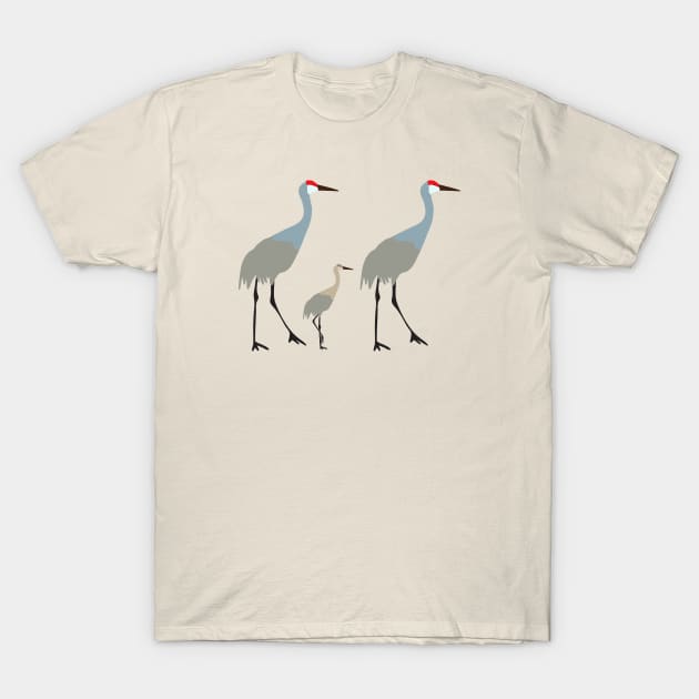 Sandhill cranes with baby T-Shirt by Jennifer Ladd